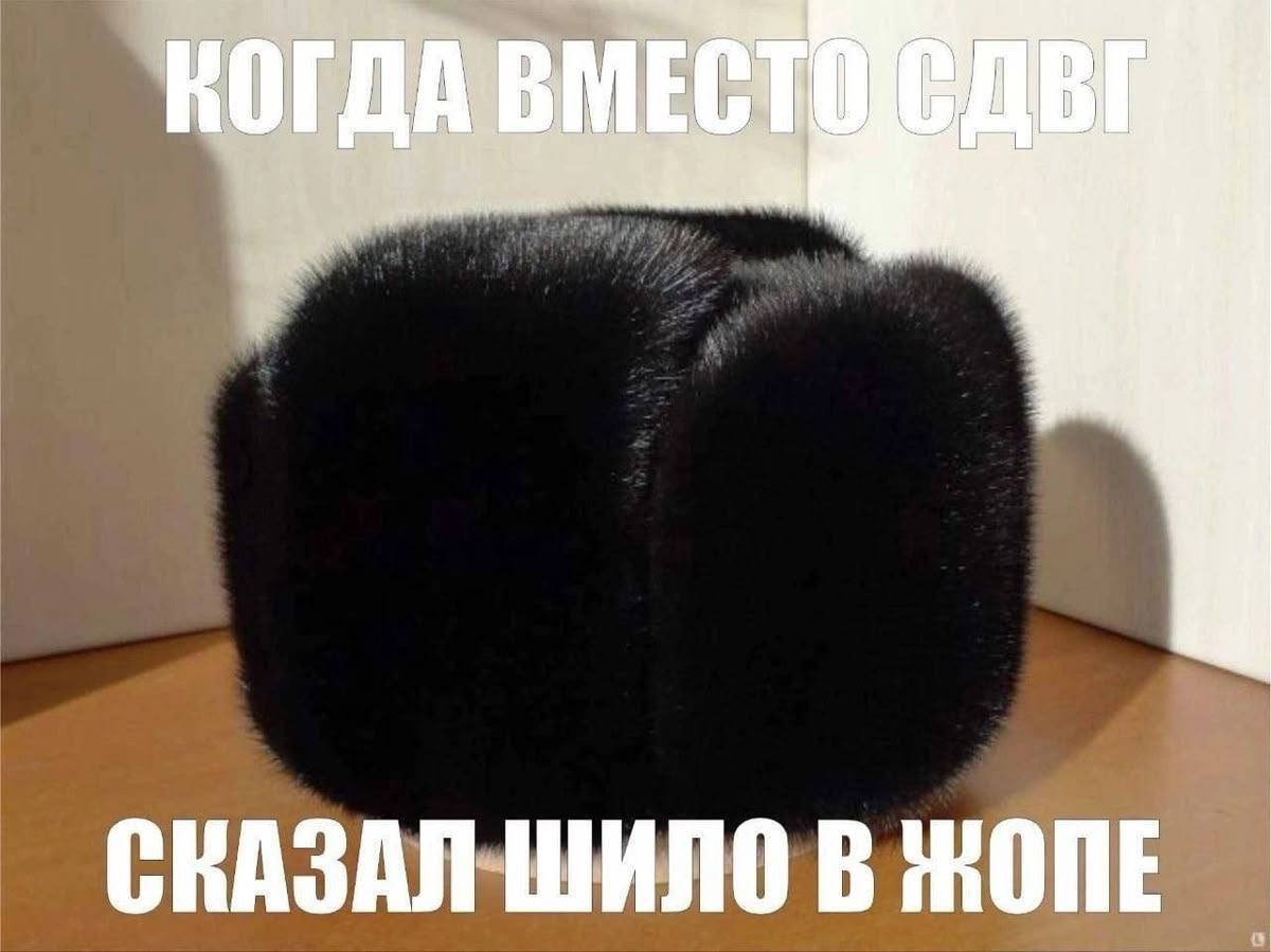 Чёрный пушистый кот сидит спиной к зрителю с надписью о том, как вместо «да» случайно сказал «шило в жопе».